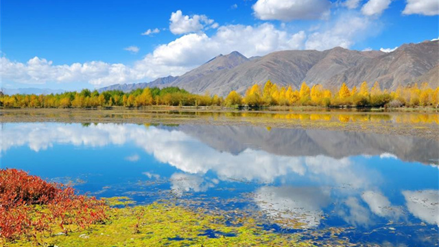 愛(ài)使我們漸漸輕于空氣