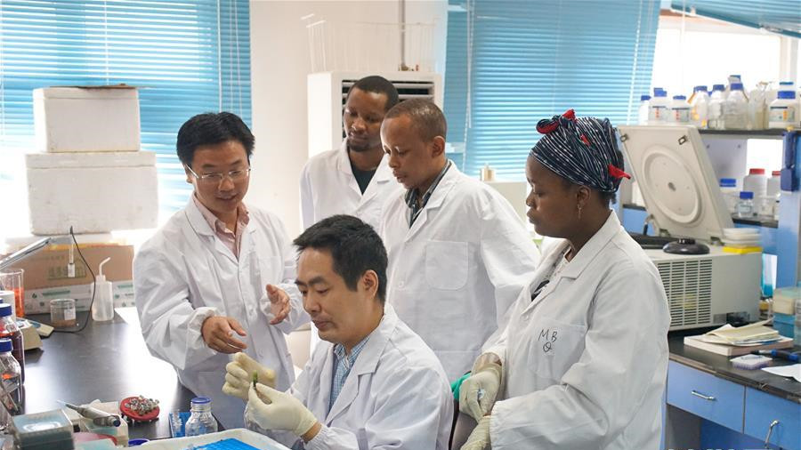 中科院“搭臺”　中非科技合作亮點(diǎn)多