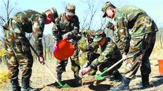 66年，黃沙地見證“橄欖綠”