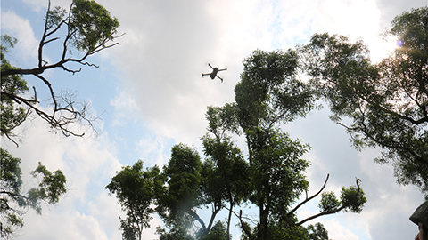 用無人機干這事，戰(zhàn)斗力爆棚！