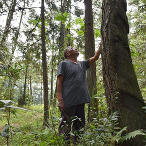 貴州印江高石坎護(hù)林隊(duì)：半輩子，以林場為家