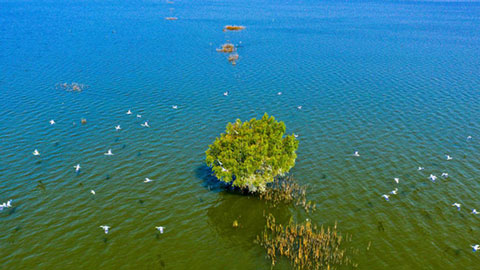 “十三五”，這五年丨長江經(jīng)濟帶綠色發(fā)展積蓄新動能