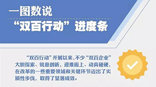 一圖看懂“雙百行動(dòng)”進(jìn)展情況