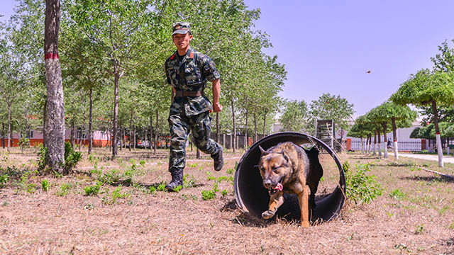 兵哥哥國慶節(jié)沒放假？我們一起訓(xùn)練呢！