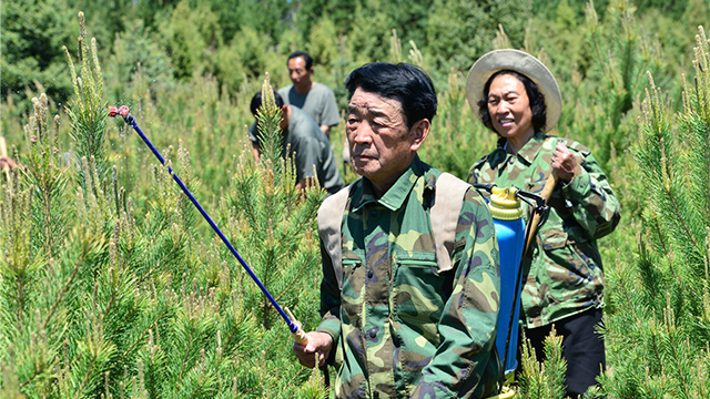 海報(bào)丨“綠化將軍”張連?。呵嗌綄?xiě)忠誠(chéng)