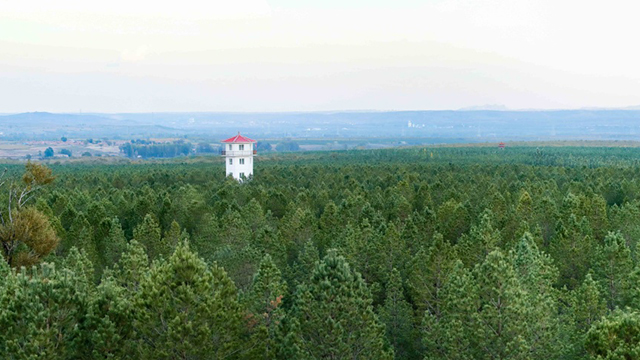 “綠化將軍”張連?。呵嗌綄?xiě)忠誠(chéng)