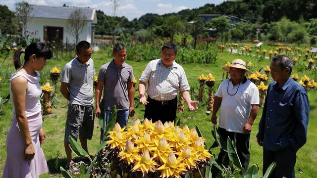 他帶千萬(wàn)資產(chǎn)回鄉(xiāng)搞建設(shè)，讓貧困村人均收入翻了近十倍