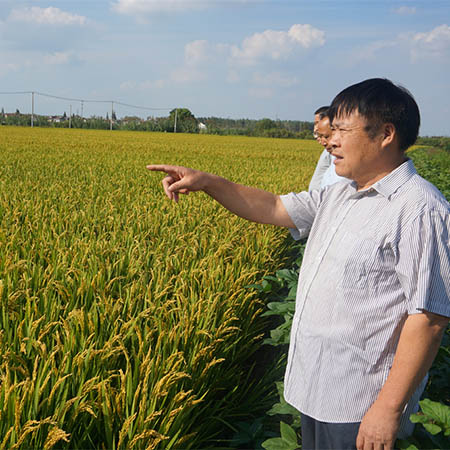 “兵支書”扎根鄉(xiāng)村30年，當(dāng)好脫貧致富帶頭人