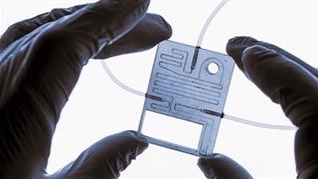 能自由彎曲的可逆智能材料