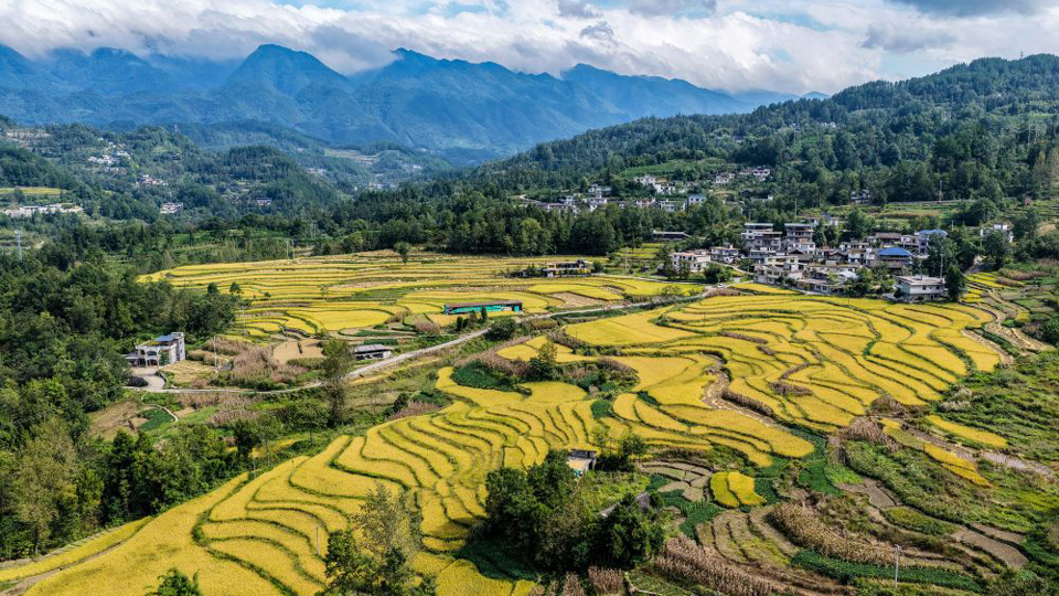 鏡觀中國｜良田舒卷！夯牢中國飯碗新底氣